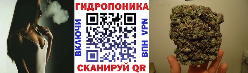 Как найти наркотики Неман МЕТАДОН  Кокаин  Alpha-PVP 