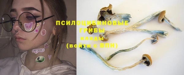 apvp Кулебаки