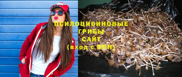 apvp Кулебаки
