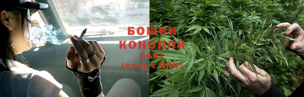 бошки Сосновый Бор