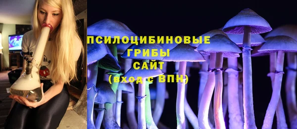 apvp Кулебаки