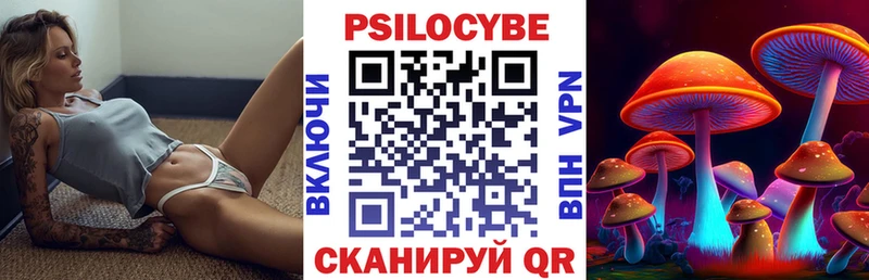 Псилоцибиновые грибы мицелий  Неман 