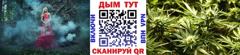 как найти   Неман  Конопля THC 21% 